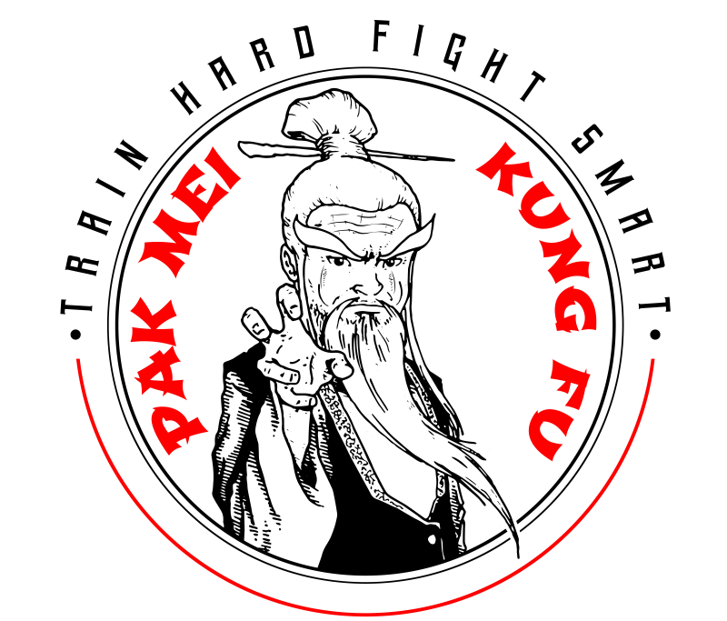 Pak Mei Kung FU Saarland logo
